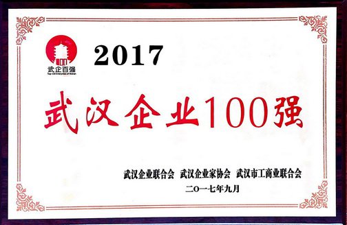 2017武漢企業(yè)100強(qiáng)獎(jiǎng)牌.jpg