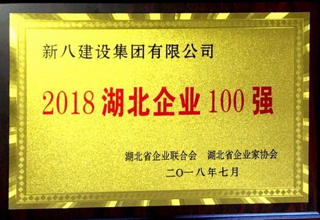 2018年湖北企業(yè)100強獎牌.jpg